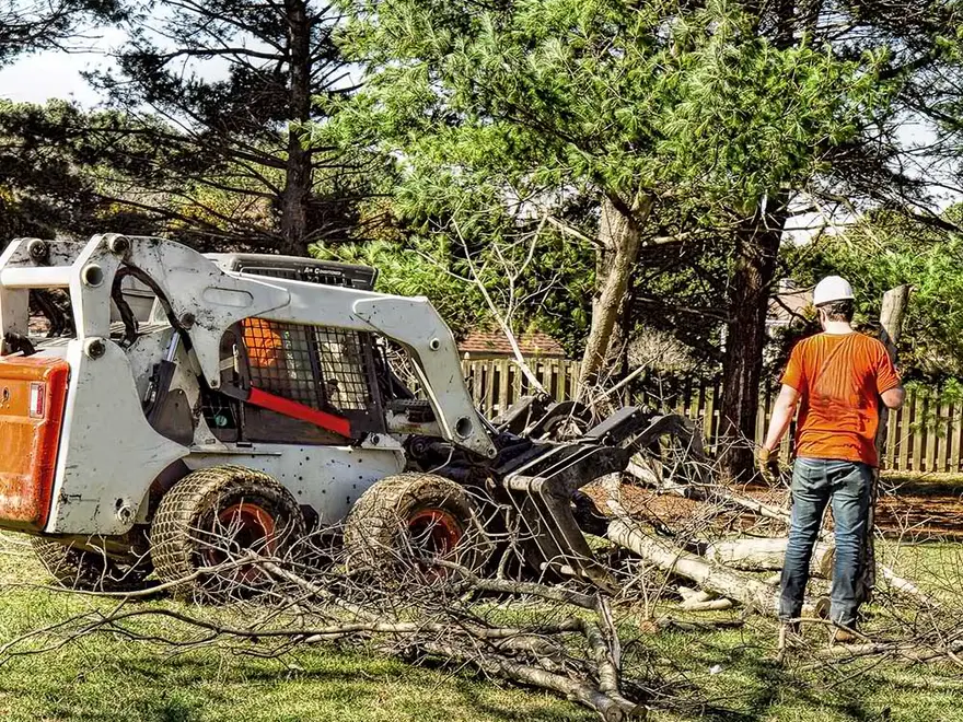 Skid steer clearing brush and branches from a yard